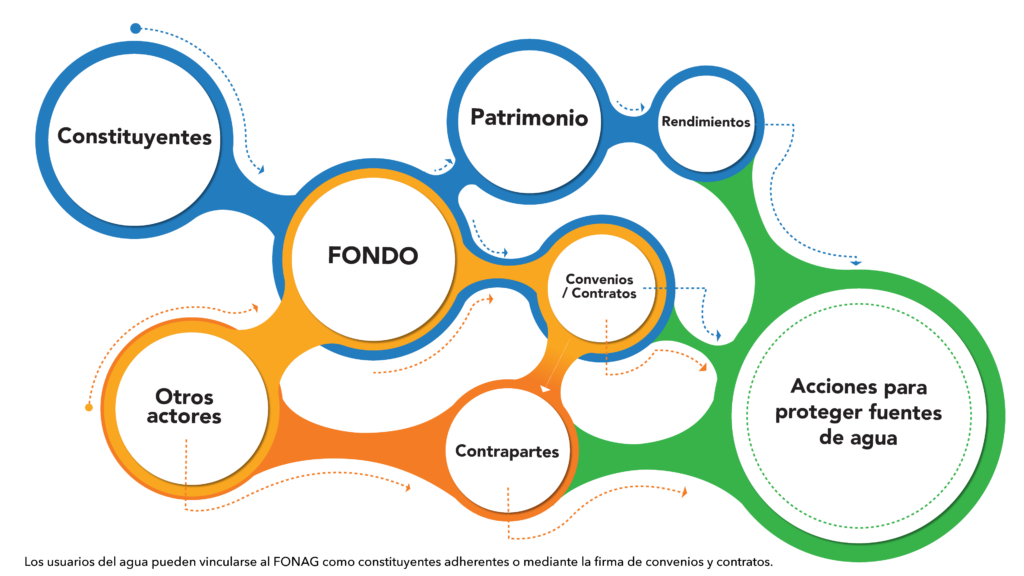Niveles de administración del FONAG: Directivo - Junta del Fideicomiso, administrador y representante legal - Fiduciaria y operativo - Secretaría Técnica.