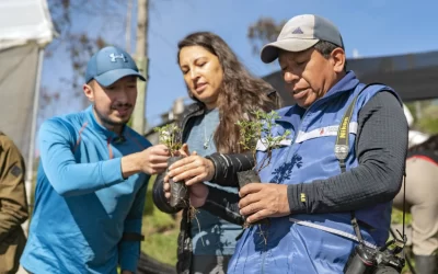Acción Andina, aliada estratégica para la recuperación de los páramos