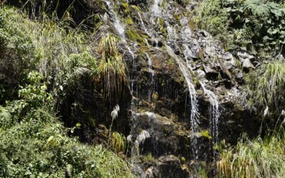 El FONAG: Un esfuerzo colaborativo por el agua de Quito