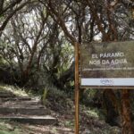 Cartel de madera con el mensaje "El Páramo nos da agua" en un bosque de polylepis