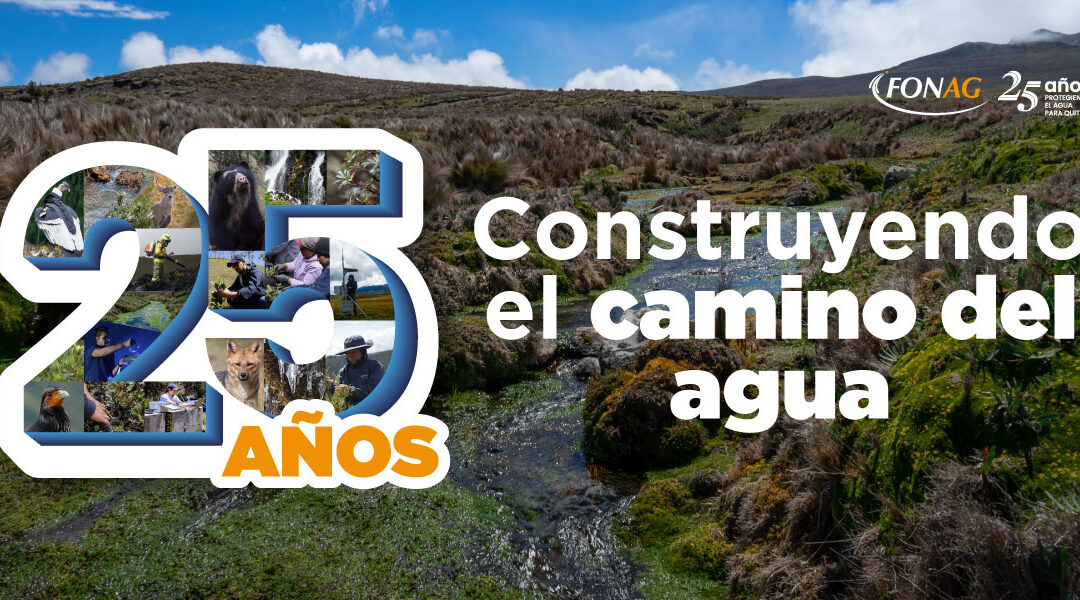 25 años construyendo el camino del agua